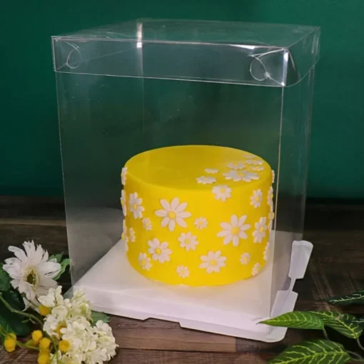 Boîte gâteau transparente - 25 x 25 x 30 cm