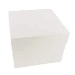 Boîte pâtissière blanche 46 x 46 x H 22 cm