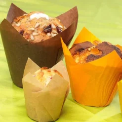 Caissette haute Tulipcup brune (x300)