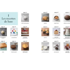 Cake design premiers pas - Sally François