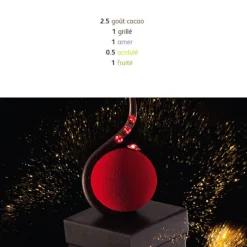 Chocolat de Couverture Noir Excellence pistoles 55 % 5 kg