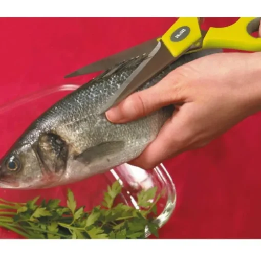 Ciseaux de cuisine inox 22 cm