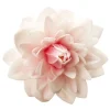 Dahlia rose géant azyme