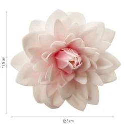 Dahlia rose géant azyme