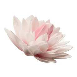 Dahlia rose géant azyme
