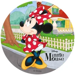 Disque gâteau azyme Minnie Mouse 20 cm - DDM 07/24