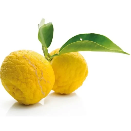 Extrait de yuzu 50 ml