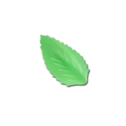 Feuille de rose azyme verte (x50)