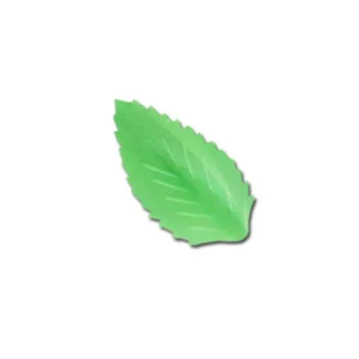 Feuille de rose azyme verte (x50)
