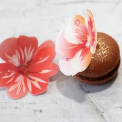 13 Fleurs 3D comestibles en azyme assorties