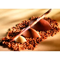 Flexipan 60x40 plaque de 100 petites quenelles 4,4x2,2x1,7  cm