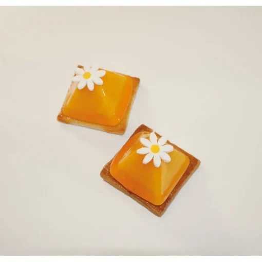 Flexipan 60x40 plaque de 24 pyramides 7x7x4 cm