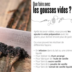 Gousse de Vanille Bourbon Madagascar (x2)