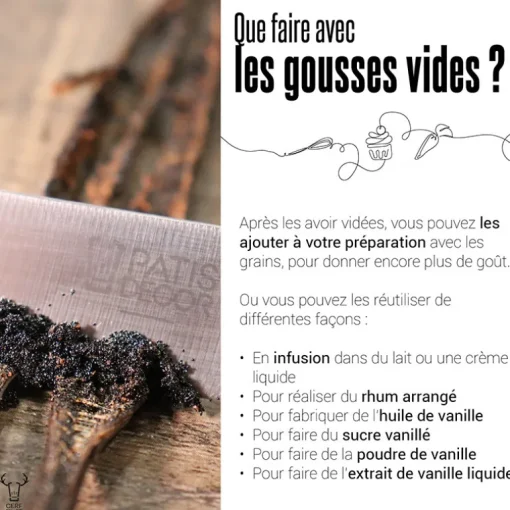 Gousse de Vanille Bourbon Madagascar (x2)