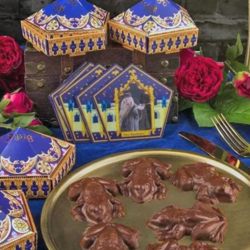 Kit moule à chocolat Chocogrenouilles Harry Potter