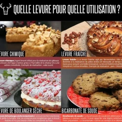 Levure de Boulanger sèche instantanée 50 g