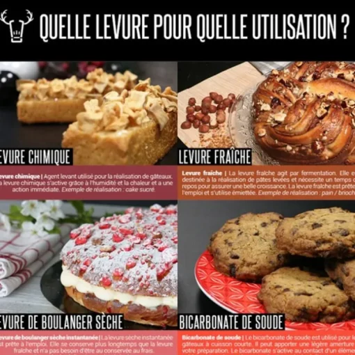 Levure sèche spéciale pizza 500 g