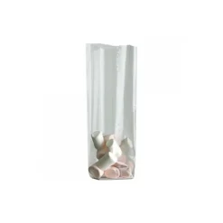 Lot sachets transparents fond plat - 100x60x280mm (x50)