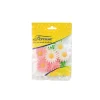 Marguerites assorties (x12)