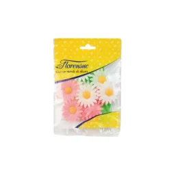 Marguerites assorties (x12)