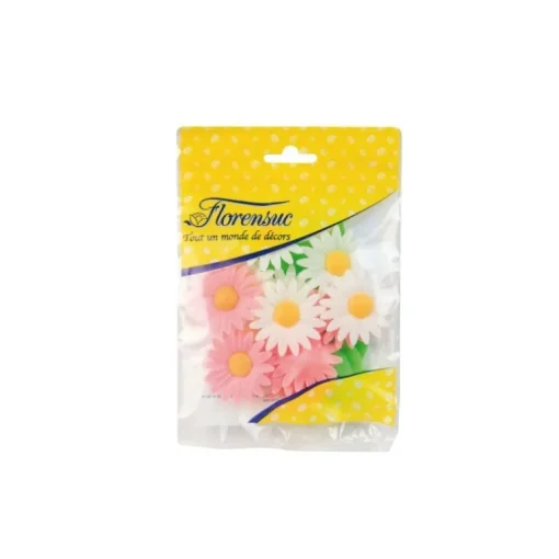 Marguerites assorties (x12)