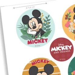 Mini disques azyme Mickey Minnie (x6)