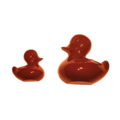 Moule chocolat canards assortis