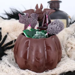 Moule chocolat citrouille d'Halloween