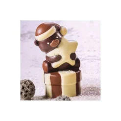 Moule chocolat ourson étoile 3D