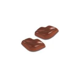 Moule chocolats 20 Bouches
