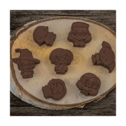 Moule chocolats / glaçons Harry Potter héros