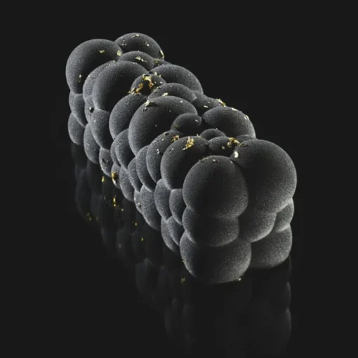 Moule silicone Atomic Pavoni