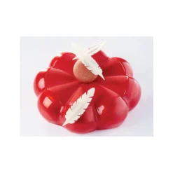 Moule silicone Bombé Pavoni