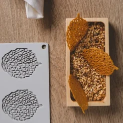 Moule silicone Feuilles Pavoni