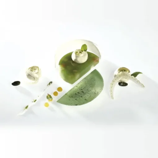 Moule silicone Rond Pavoni