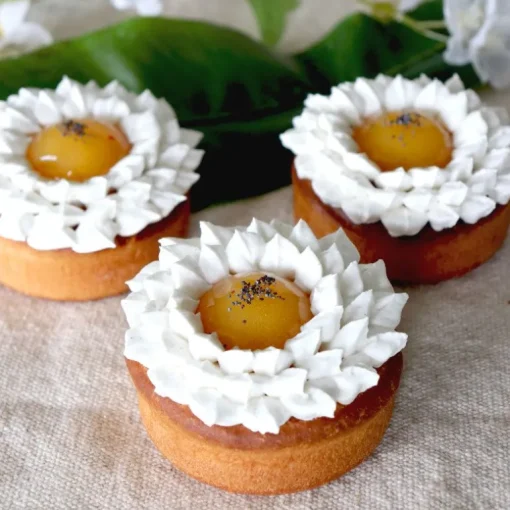 Moules de cuisson spécial tarte (x4)