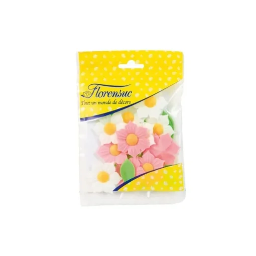 Narcisses assortis (x12)