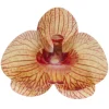 Orchidées jaunes azyme (x10)