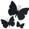 Papillons noirs aimantés assortis (x3)