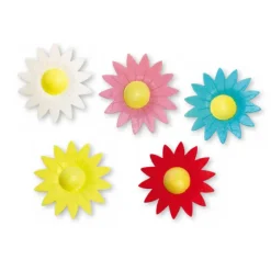 Pâquerettes assorties en azyme x20