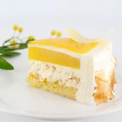 Préparation bavarois citron 100 g