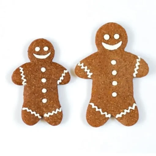 Préparation biscuits pain d'épices 250 g - DDM 06/24