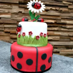 Pâte à sucre rouge étalée - DDM 06/24
