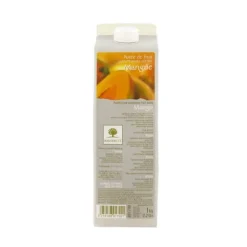 Purée de mangue Ravifruit 1 kg