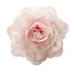 Rose rose géante azyme