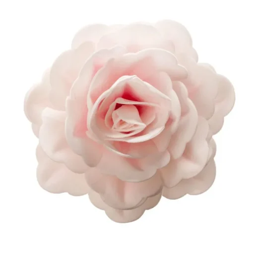 Rose rose géante azyme