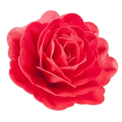 Rose rouge géante azyme
