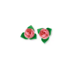 Roses roses avec feuilles x10