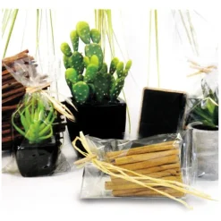 Sachets plats polypropylène - 110 x 220 mm (x100)