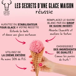 Stabilisateur pour glace 125 g